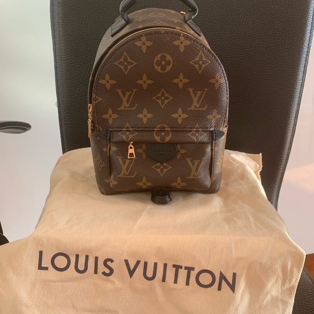 Louis Vuitton Palm Spring Mini Backpack
